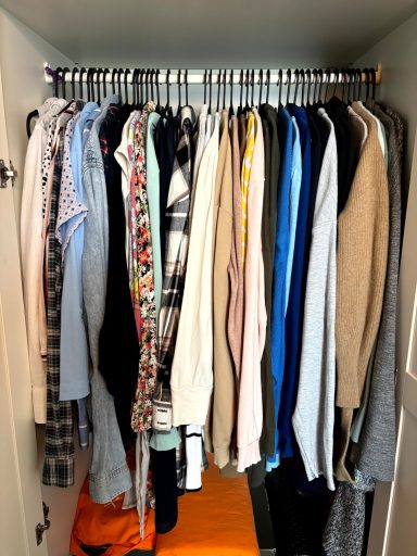 Kleiderschrank mit hängender Kleidung in unterschiedlichen Farben und Materialien - nach Kleidungstyp sortiert